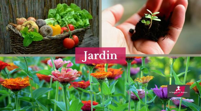 Tous au jardin !